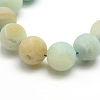 Frosted Natural Flower Amazonite Round Bead Strands G-M064-12mm-07-2