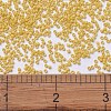 MIYUKI Delica Beads SEED-X0054-DB2102-4
