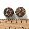 Natural Leopard Skin Jasper Round Ball Figurines Statues for Home Office Desktop Decoration G-P532-02A-20-3