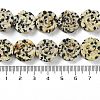 Natural Dalmatian Jasper Beads Strands G-B065-B14-5