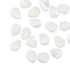 Natural Shell Beads Strands SSHEL-CJ0001-08-4