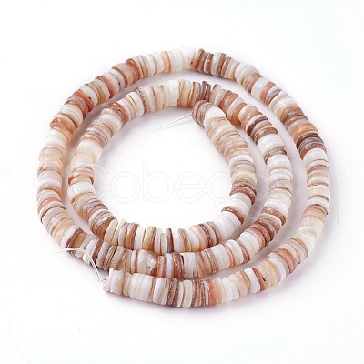 Shell Beads Strands SSHEL-E571-49D-1