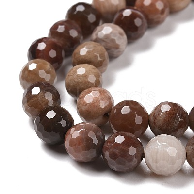 Natural Petrified Wood Beads Strands G-E571-27B-1