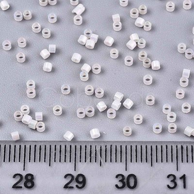 11/0 Grade A Baking Paint Glass Seed Beads X-SEED-S030-0371-1