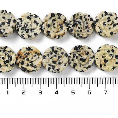 Natural Dalmatian Jasper Beads Strands G-B065-B14-1