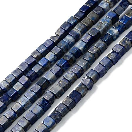 Natural Lapis Lazuli Beads Strands G-F631-K05-1