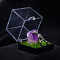 Natural Amethyst Cluster & Miner Modeling Mineral Specimen Box, Raw Stone Micro Landscape Display Decorations, Box: 34x36mm