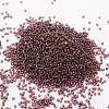6/0 Transparent Glass Round Seed Beads X-SEED-J010-F6-57-2