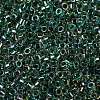 Glass Seed Beads X-SEED-S042-13A-18-3
