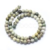 Natural Dendritic Jasper Beads Strands X-G-E501-6mm-01-2