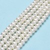 Natural Cultured Freshwater Pearl Beads Strands PEAR-F018-13D-01-2