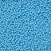 11/0 Grade A Baking Paint Glass Seed Beads X-SEED-N001-A-1018-2