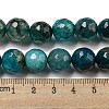 Faceted Natural Dragon Veins Agate Beads Strands G-F447-12mm-P07-5