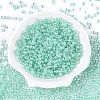 6/0 Transparent Inside Colours Glass Seed Round Beads SEED-N006-004C-2