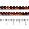 Natural Carnelian Beads Strands X-G-B079-A03-01-5