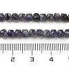 Natural Iolite Beads Strands G-H042-A52-02-5