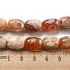 Natural Dragon Veins Agate Beads Strands G-A223-D11-01E-5