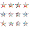 CHGCRAFT 12Pcs 2 Style Star Shape Hotfix Rhinestone DIY-CA0005-96-1