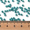 Baking Paint Glass Seed Beads X-SEED-S042-15A-17-4