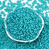 Baking Paint Glass Seed Beads SEED-L011-09A-07-2