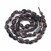 Natural Obsidian Beads Strands G-S363-038A-2