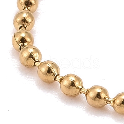 304 Stainless Steel Ball Chain Necklaces NJEW-JN03488-02-1