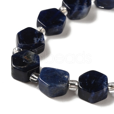 Natural Sodalite Beads Strands G-P534-A11-01-1