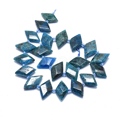 Natural Apatite Bead Strands G-O179-H27-1