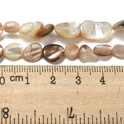 Natural Seashell Beads Strands SSHEL-H072-14-1