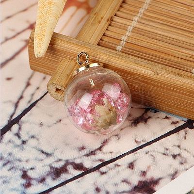 Transparent Glass Globe Pendants GLAA-TAC0003-02D-1