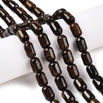 Natural Bronzite Beads Strands G-G980-42A-1