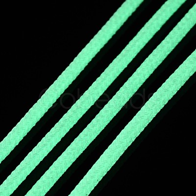 Luminous Polyester Braided Cords OCOR-T015-01B-1