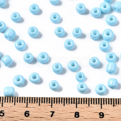 6/0 Glass Seed Beads SEED-S058-A-F436-1