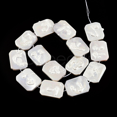 Plating Natural Freshwater Shell Beads Strands SHEL-N026-223-1