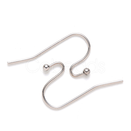 Non-Tarnish 304 Stainless Steel Earring Hooks X-STAS-S111-005-1