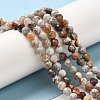 Natural Mexican Agate Bead Strands G-E608-A11-C-4
