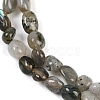 Natural Labradorite Beads Strands G-P497-01B-03-4