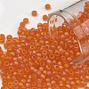 TOHO Round Seed Beads X-SEED-TR08-0174F-2
