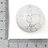 Natural Howlite Sphere Beads G-I367-05D-2