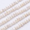 Natural Cultured Freshwater Pearl Beads Strands PEAR-F004-13-1