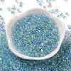 Glass Seed Beads SEED-L011-05B-11-2