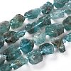 Rough Raw Natural Apatite Beads Strands G-G010-11-1