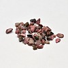 Natural Rhodonite Chip Beads G-O103-05-1