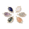 Natural Mixed Stone Connector Charms G-G012-05G-A-1