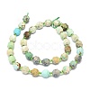 Natural Turquoise Beads Strands G-O201B-66A-3