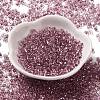 Baking Paint Glass Seed Beads SEED-K009-03B-10-2