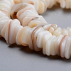 Natural Freshwater Shell Beads Strands X-SHEL-D078-01B-3