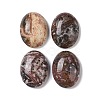 Natural Leopard Skin Jasper Cabochons G-B080-01A-10-1