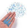 11/0 Grade A Transparent Glass Seed Beads X-SEED-N001-F-256-4