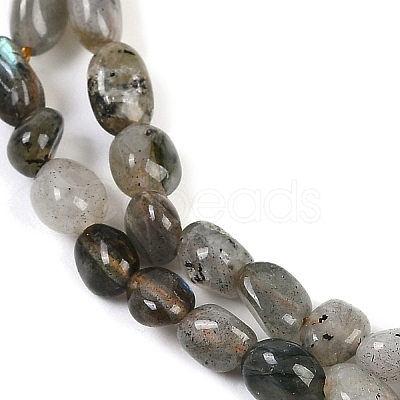 Natural Labradorite Beads Strands G-P497-01B-03-1